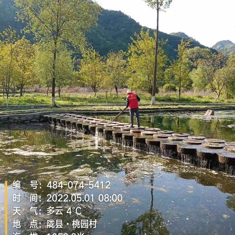 青山绿水就是金山银山