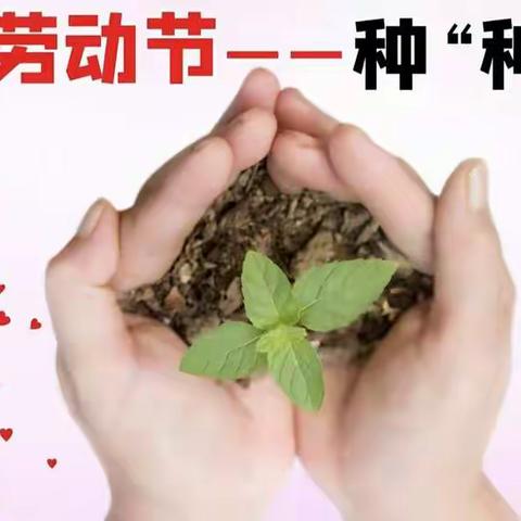 五一劳动节活动 “种种子”，人生就是在不断种种子的过程 ，种下好的种子，收获幸福，幸运，美好！