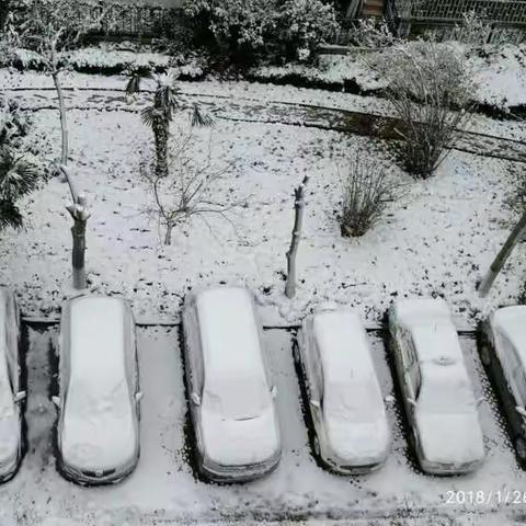 雪后小区，我的北华苑。