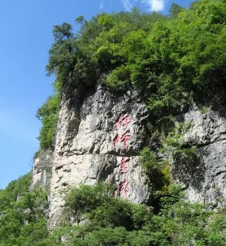 神农架红秤天燕画廊