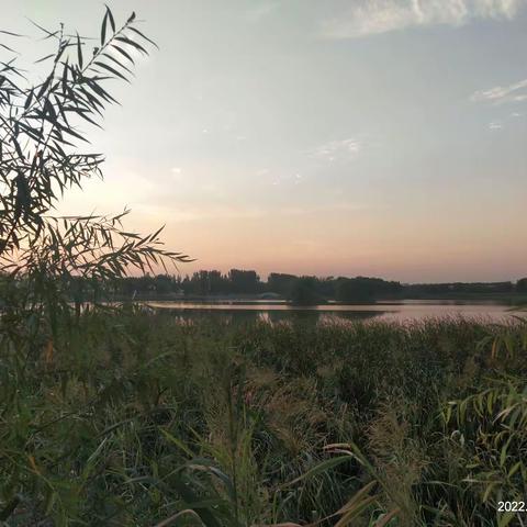 人生美不累不 • 雁鸣湖畔，野叟之舞（7）