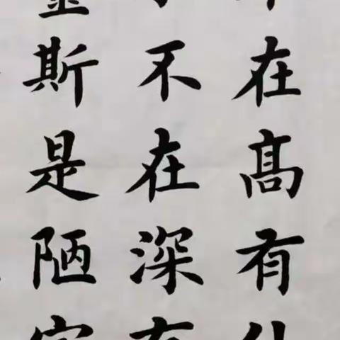 探索汉字趣味——遨游汉字王国