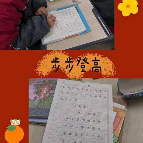 庆元旦·六年级书画展✨🌟