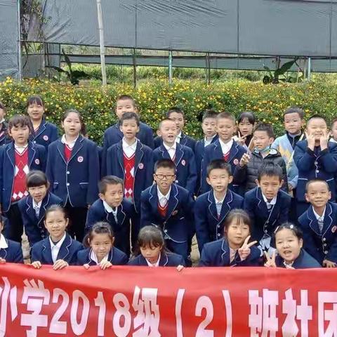 多彩社团，活力童年---文山市第五小学四年级2班社团活动