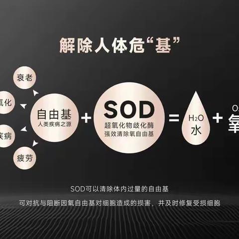 东之雪超氧化物歧化酶SOD健康品：健康杀手——自由基！