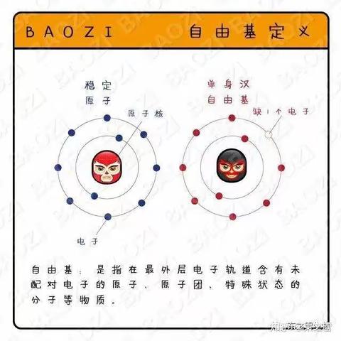 东之雪带你捋一捋氧化与抗氧化