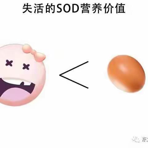 东之雪教您如何辨别SOD的活性？