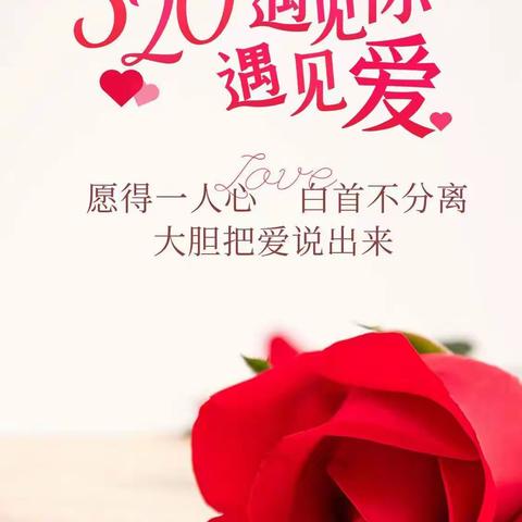 东之雪素材号的美篇