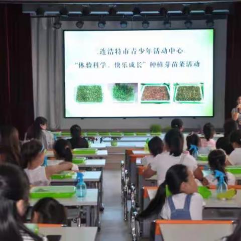 二连浩特市青少年活动中心开展“体验科学、快乐成长”种植芽苗菜活动