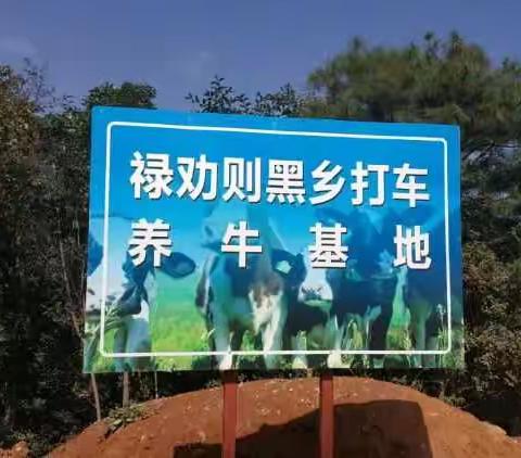 我的美篇