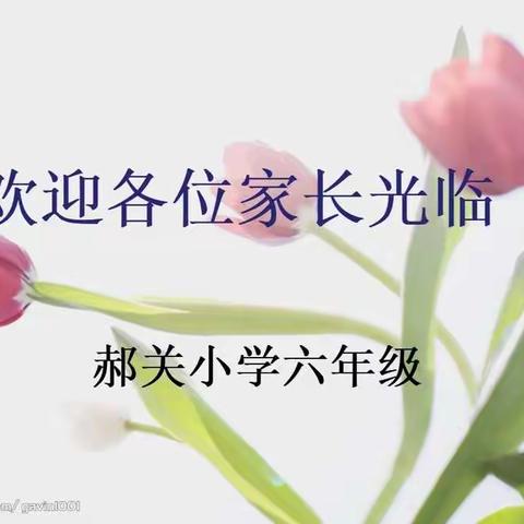 郝关小学六年级线上家长会