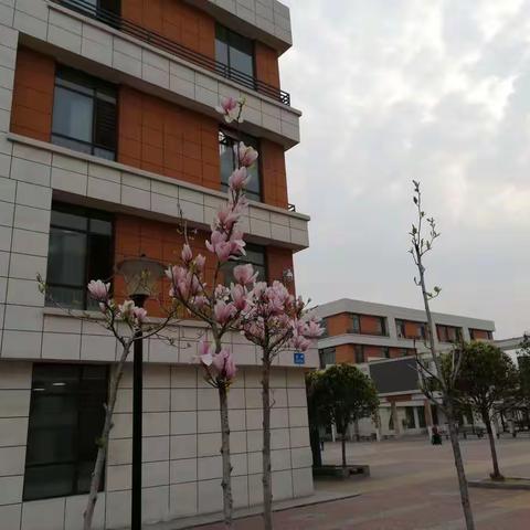 最美马小人    最美夕阳红——临沂马厂湖小学老教师课堂展示活动