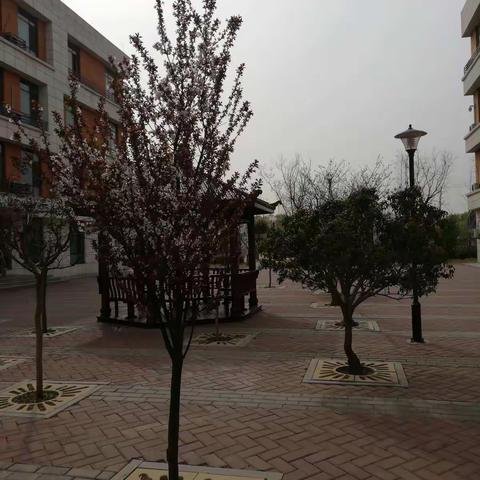 追梦新时代，我们在路上——临沂马厂湖小学青年教师说课大赛