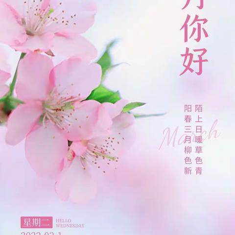 相约三月，“幼”见美好——海创幼儿园（小洲园区）小一班三月份记录📝