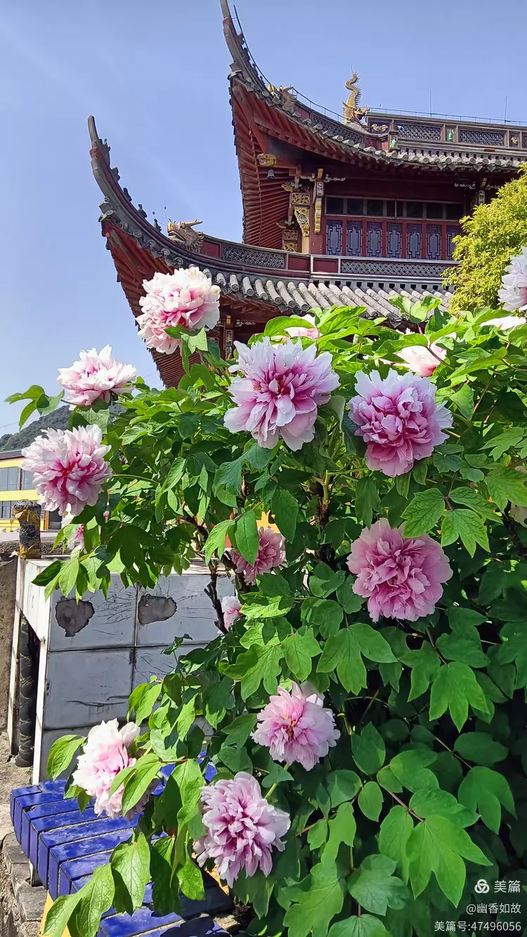 卧龙山超度-卧龙生十大巅峰之作