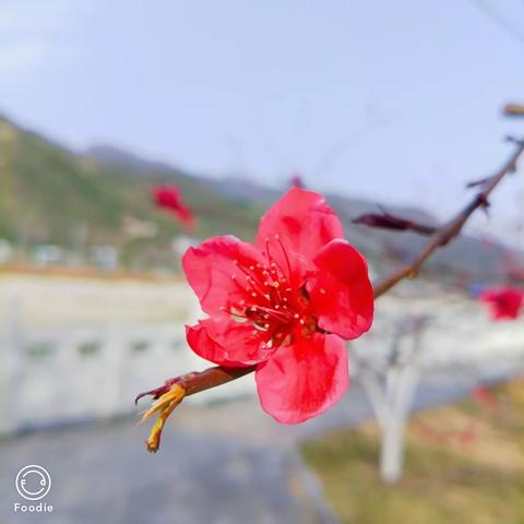 不负春光不负己