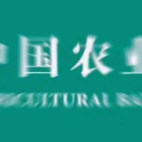 中国农业银行宝塔尹家沟分理处“数字化赋能”网点导入项目