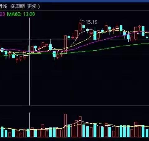 投资日志：去欣赏一些企业，不是紧盯股价短期波动