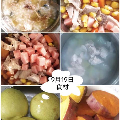 小状元幼儿园第四周食材回顾