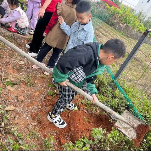 高地街道小状元幼儿园2023年植树节活动