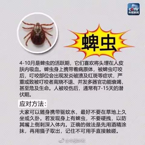 夏季防虫手册