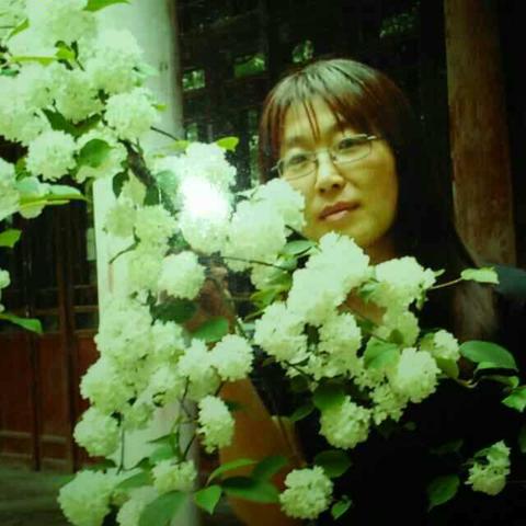✨让我们再一次握手✨