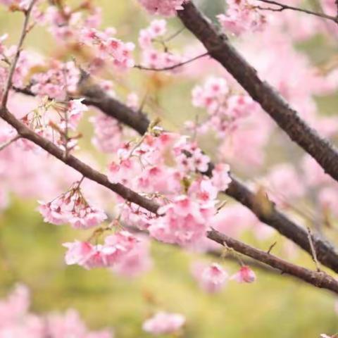 晒晒我的居家生活