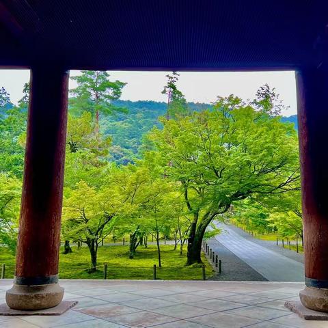 【旅程重启｜霓虹】Day 2：闷热废腿的梅雨季景点游