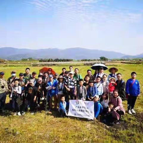 再寻黄胸鹀