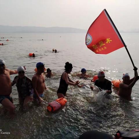 元旦冬泳日 南湖迎新年