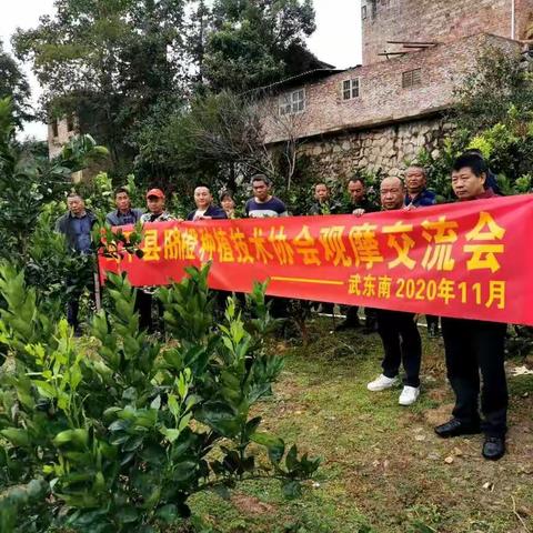 武平县脐橙种植技术协会武东南交流学习冬季修剪技能。