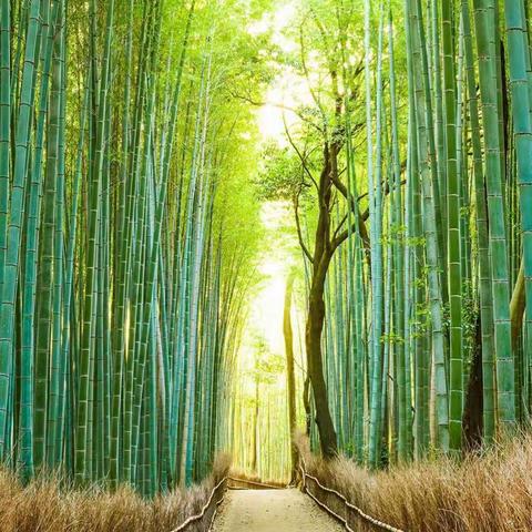 基层物语第十八章耻辱