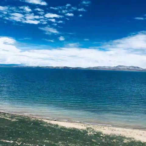 基层物语第十六章调离