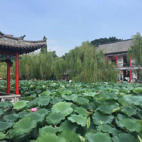 基层物语第十九章说教