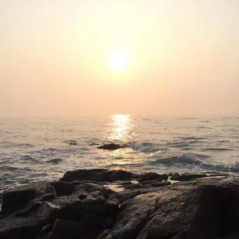 基层物语第十二章斟酌