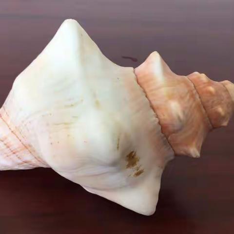 基层物语第十三章商议