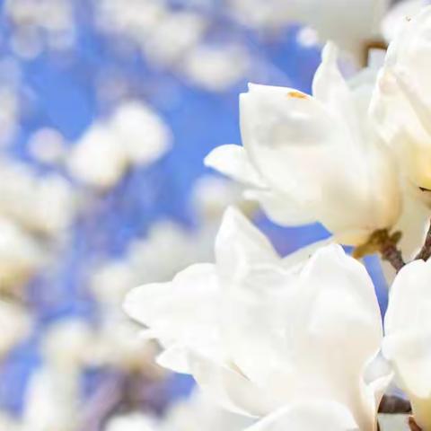 上海通讯报道--“暖语声援，众志挽相扶。”