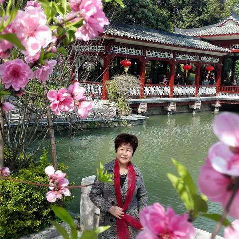 在那桃花盛开的地方 ——福州西湖公园。