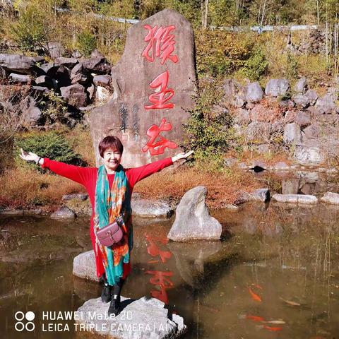 猴王谷与猴共舞，大妈晕车呕吐不止。山路弯道实在险堵，下次不敢再来受苦。