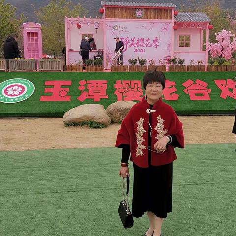 霞浦玉潭樱花谷景区，樱花怒放迎新春，接待各方游客满园春。