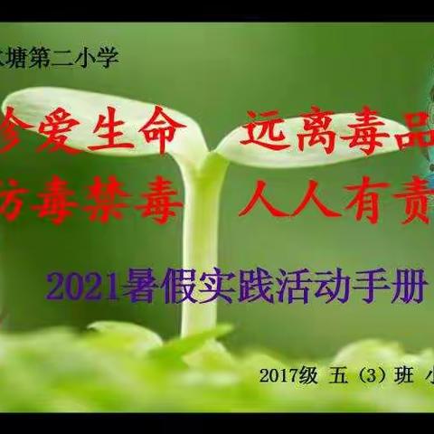 清二小  2021暑假实践活动手册  2017级 五(3)班 小蜜蜂中队
