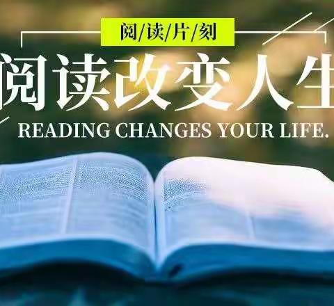 [能力提升建设年]助力“双减”阅读悦美——记文昌市树芳小学第一届读书节系列之最美图书、图书收纳技巧活动