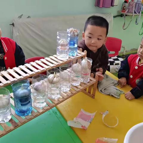 “欢度植树节”🌵🌵小天鹅幼儿园植树节活动