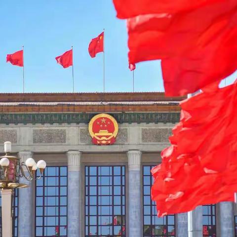 学习二十大 争做好队员