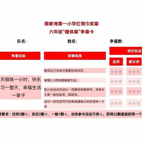 六（5）中队“红领巾奖章”争章总结