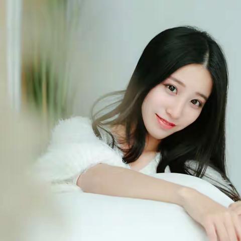 《他们的朱砂痣》免费资源(林柔枝奚平生)完整小说(全文在线阅读)