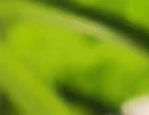 一则旧闻的联想