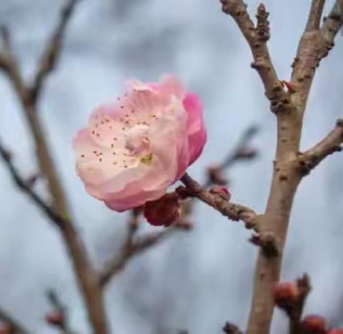 把握“人民监督”与“自我革命”的关系