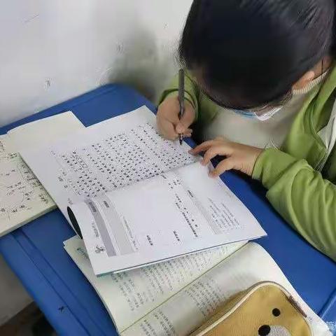 你的成长，我看得见——七年级文学素养课“我的业余爱好”