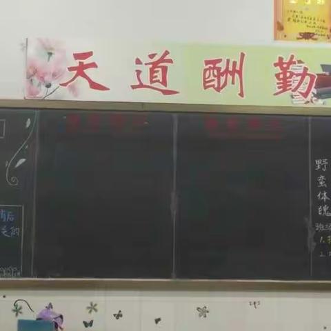 班级文化，我们共建
